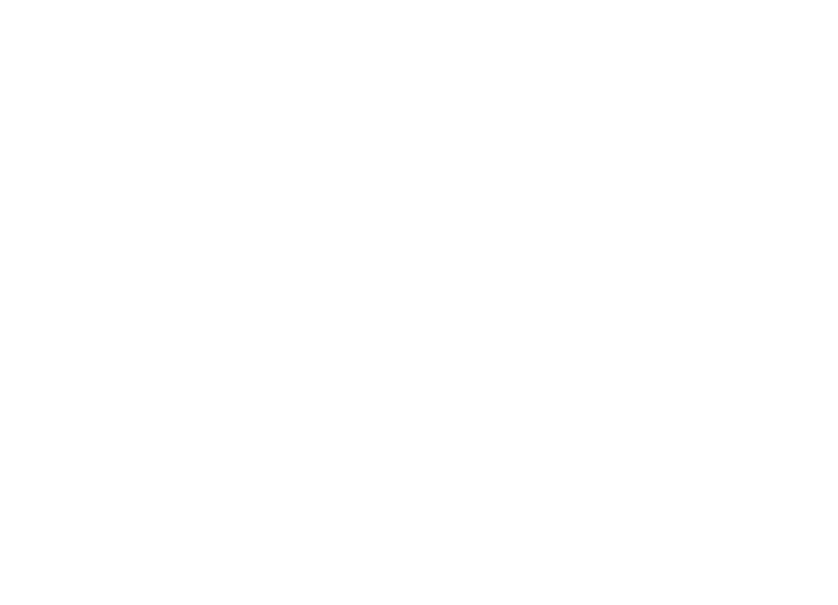 Colibri Zeichnung